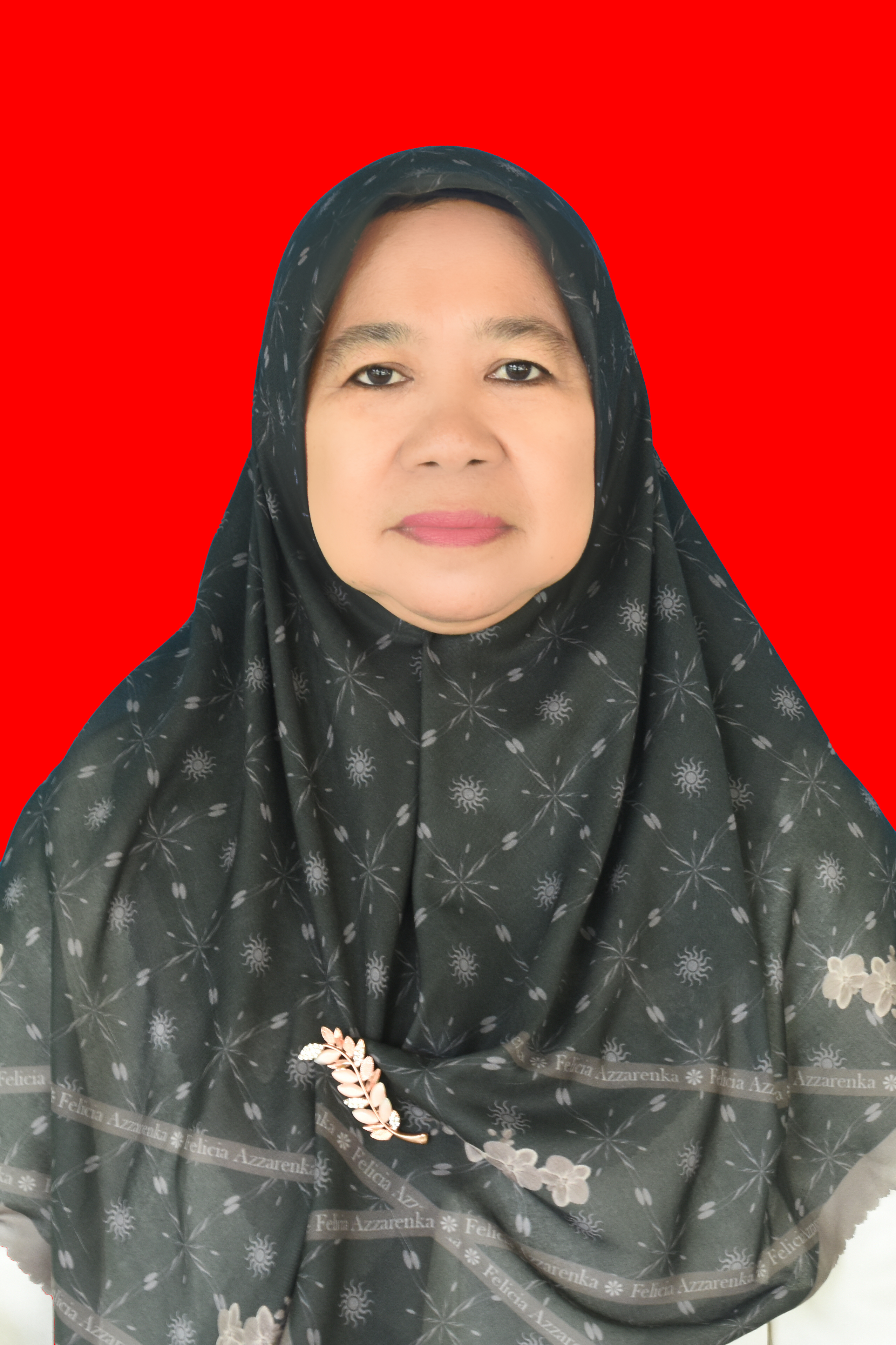 <center>-<br>Dra. Hj. DIANATUL ALIYAH</center>